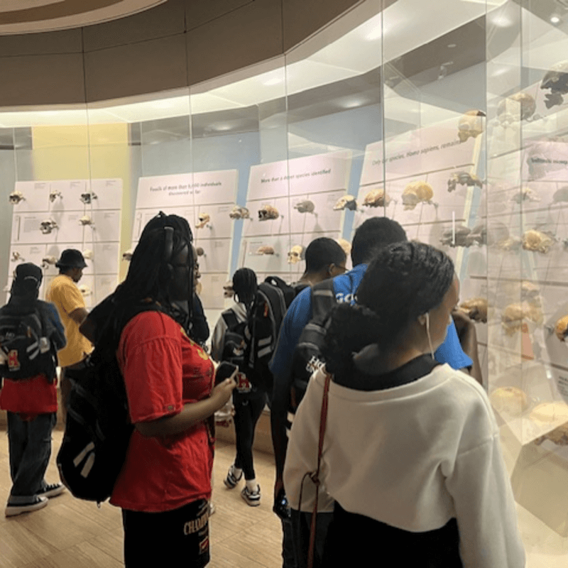 African Studies